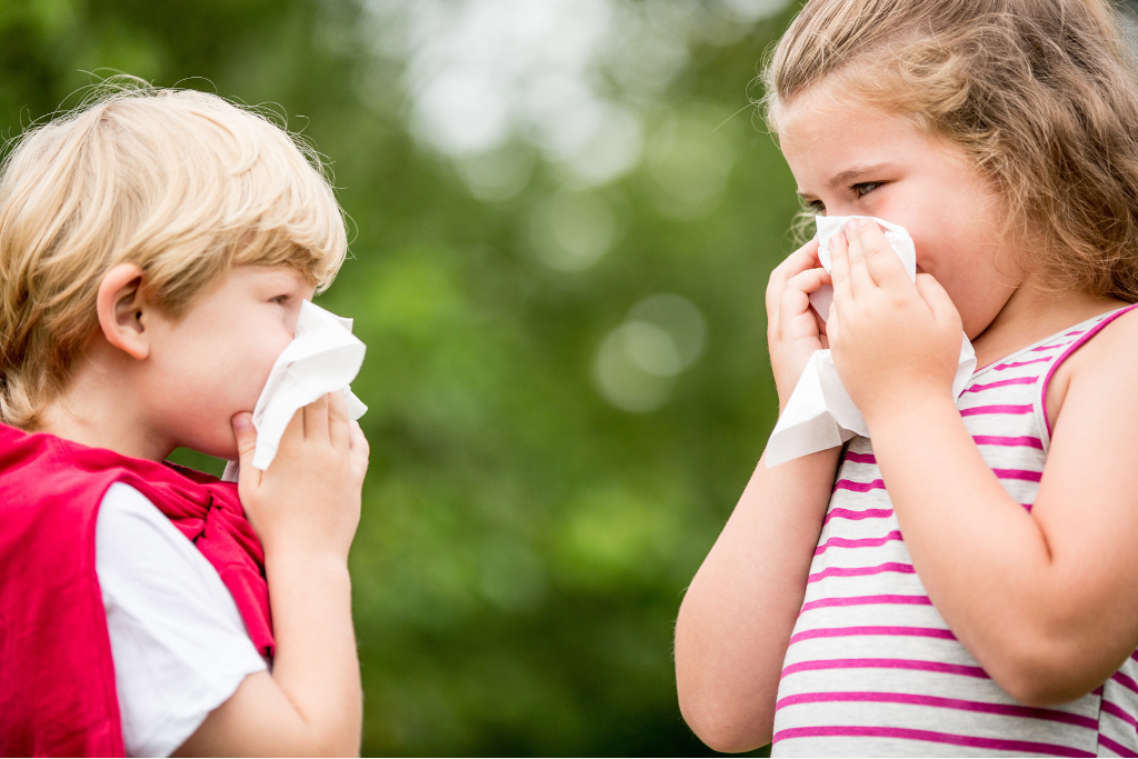 Understanding Hayfever: Common Triggers and Symptoms in Children